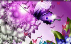 紫蝶 ライブ壁紙 Androidアプリ Applion