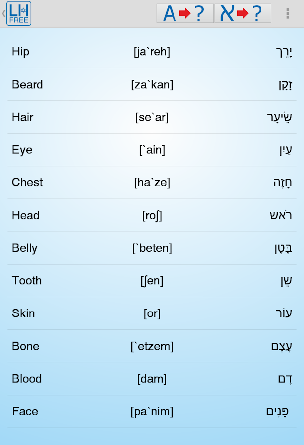 500 Basic Hebrew Words for tattoo - HEBREW TATTOO|Jewish Tattoo
