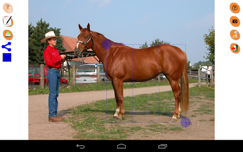 Horse Conformation Screenshots 1