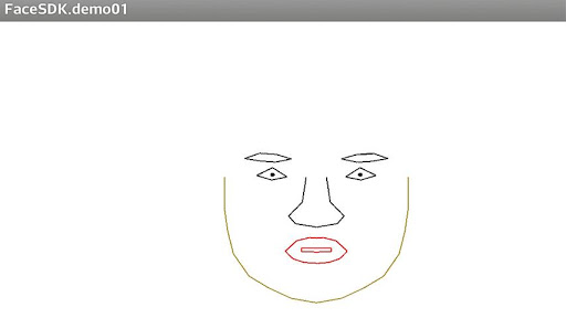 Face Shape Tracking