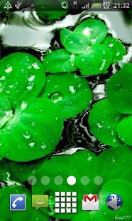 How to get Pond Lily Pads Live Wallpaper 26 apk for android