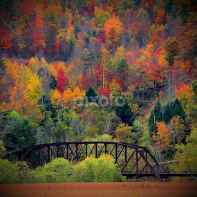 Old Artemus Bridge by Paul Mays - Landscapes Mountains & Hills