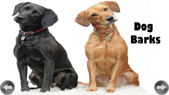 How to get Zoo Animal Sounds And Pictures 0.0 apk for laptop