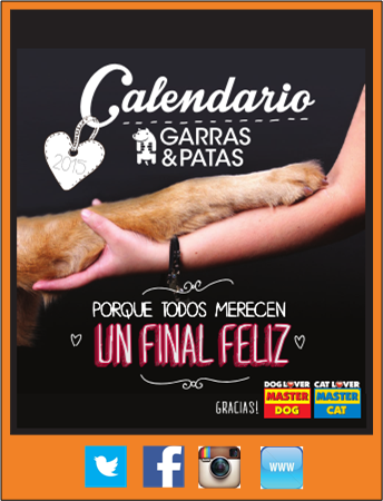 CalendarioG P2015