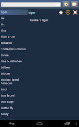 English Multiple Languages poster 8