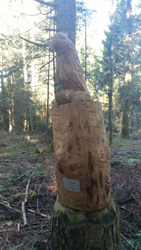 Perroquet Wood