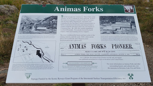 Animas Forks Pioneer