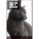 Bonjour Le Chat Flipmag logo