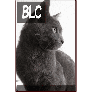 Bonjour Le Chat Flipmag Explore The App Developers Designers And Technology Behind Apps