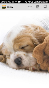 Wallpapers Screenshots 2