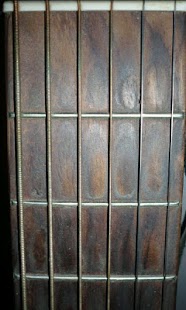 Free Download SitarGuitar2011 APK