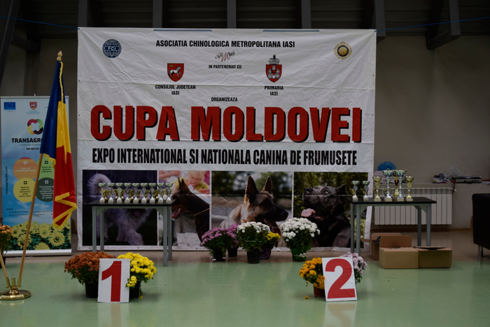 Cupa Moldovei - ziua 2