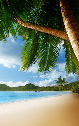 Tropical Live Wallpaper