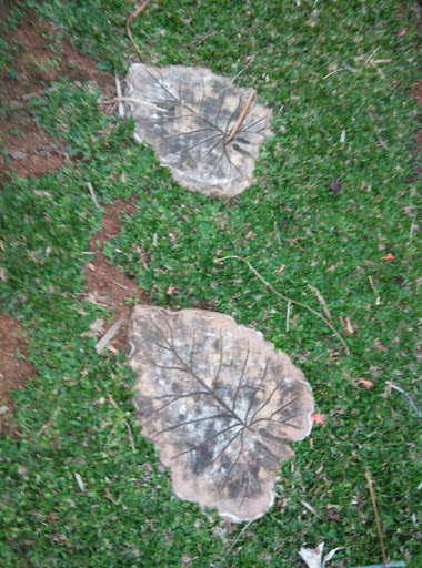 Leaves Pattern on the Floor