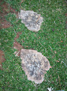 Leaves Pattern on the Floor