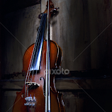 violin by Gigih Ardiantoro -  