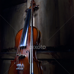 violin by Gigih Ardiantoro - Artistic Objects Musical Instruments