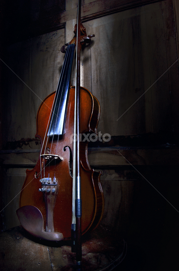 violin by Gigih Ardiantoro - Artistic Objects Musical Instruments