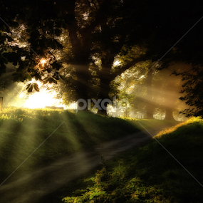 I went for a walk to find the sun by Martin Crush - Landscapes Sunsets & Sunrises