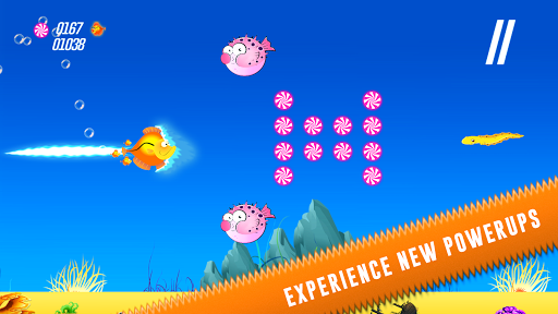 免費下載家庭片APP|Run Fishy, Fishy, Fishy! RUN! app開箱文|APP開箱王