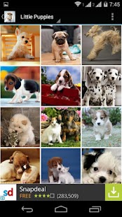 Cute Little Puppies Wallpapers Screenshots 17