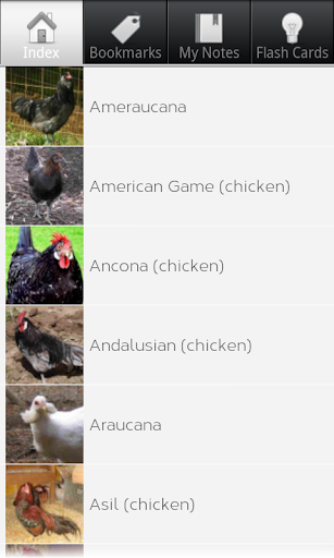 Chicken Breeds Types