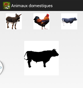 download Animaux domestiques free