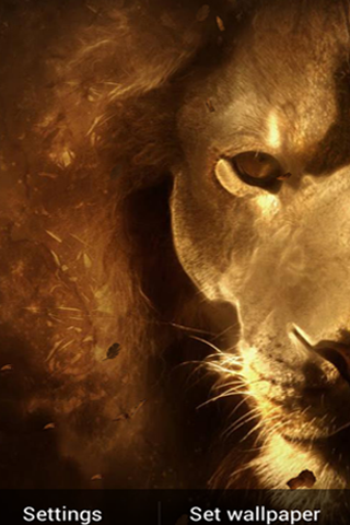 Lion King HD Live Free LWP