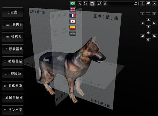 【免費教育App】3D Dog Anatomy-APP點子