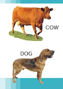 How to get Domestic Animals Pre School 1.0 unlimited apk for bluestacks