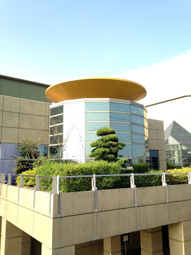稲沢市民会館 テラス