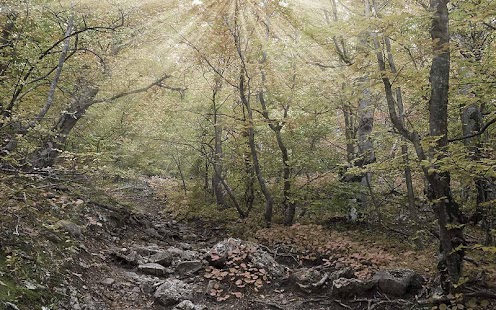 How to mod Leaf fall patch 1.4 apk for bluestacks