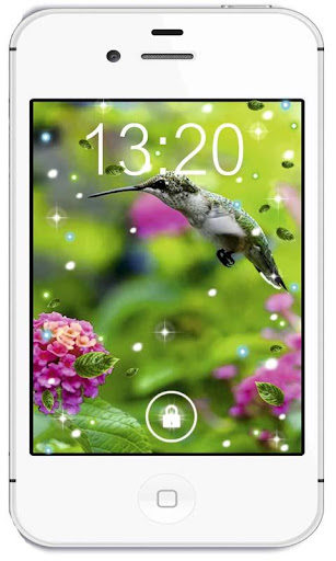 Humming Bird live wallpaper