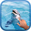 Magic Wave : Cute Dolphin icon