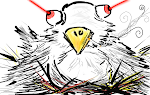 Fortune and fame, things ruffed looking birds do not care about