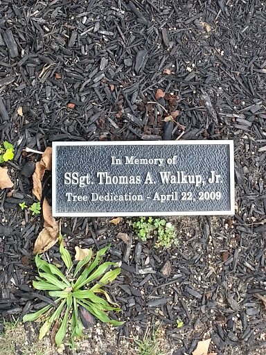 In Memory of SSGT Thomas A. Walkup Jr.