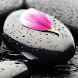 Petal Rock Live wallpaper