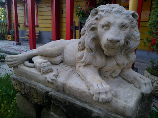 Lev u parku - Česká Lípa