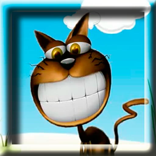 Funny Cat LWP 個人化 App LOGO-APP開箱王