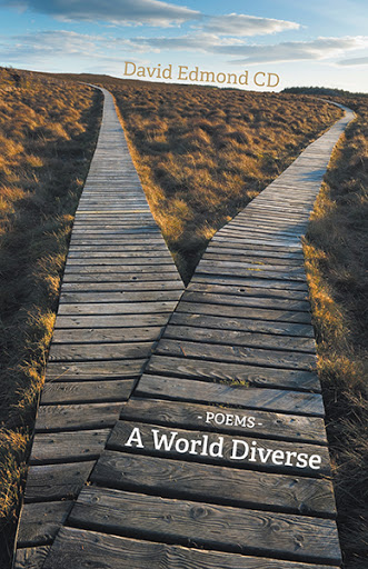 A World Diverse cover