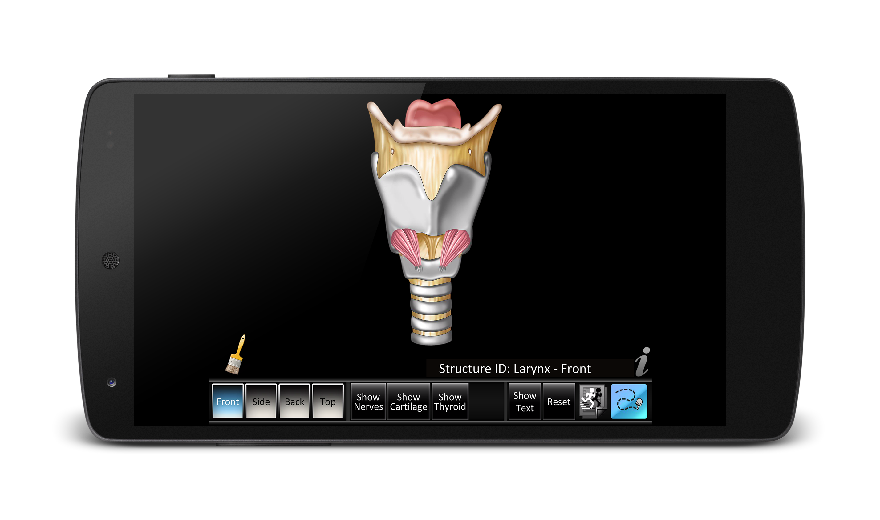 Android application Larynx ID screenshort