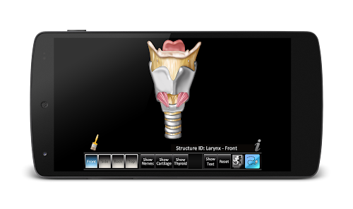 Android application Larynx ID screenshort