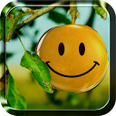 Smiles Live Wallpaper mobile app icon