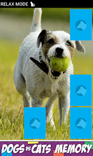 How to install Dogs Vs Cats Action Memory 1.3 unlimited apk for laptop