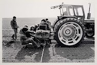 Akkerbouwbedrijf in de Flevopolder