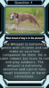 Dog Breed Animal Quiz Game Screenshots 4