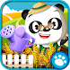 Dr. Panda's Veggie Garden icon