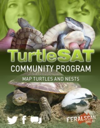 TurtleSAT