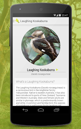 【免費教育App】Birdlife of Australia-APP點子