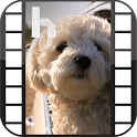 Puppies Video Homescreen
